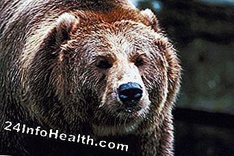 Selv om de ofte er søte, ser grizzlybjørn ikke etter klemmer når de tar betalt for deg.