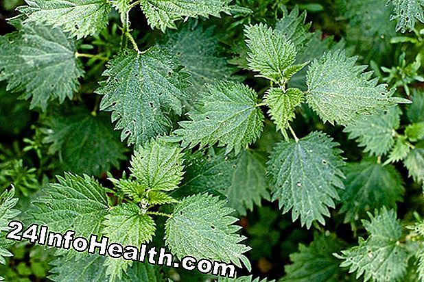Wellness: Herbal Remedies for Gærinfektioner