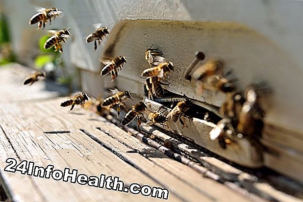 Medizin: Wie Bienenstich-Therapie funktioniert