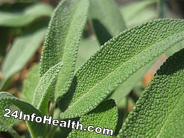 Wellness: Sage: Herbal Remedies