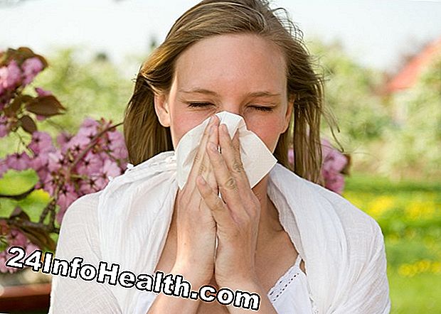 ¿Qué causa alergias?