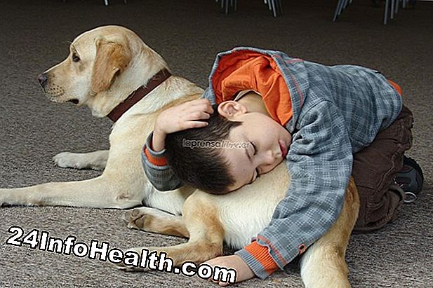 Medicina: Terapia de mascotas: Huggable Healthcare Workers