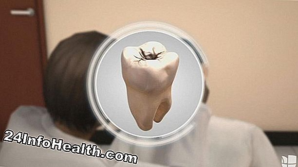 ¿Pueden las personas regenerar los dientes?