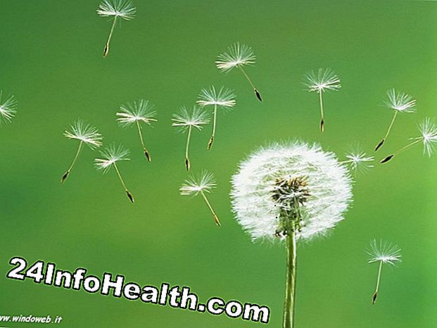 Malattie e condizioni: Allergie e sistema immunitario