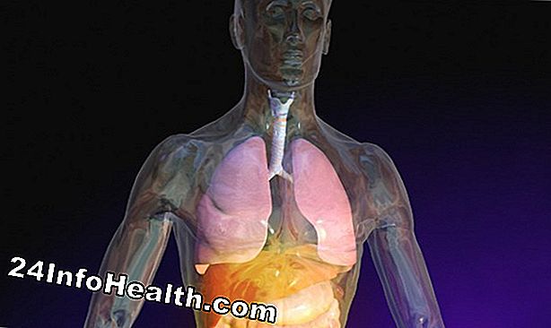 Malattie e condizioni: In che modo la fibrosi cistica colpisce i tuoi polmoni?