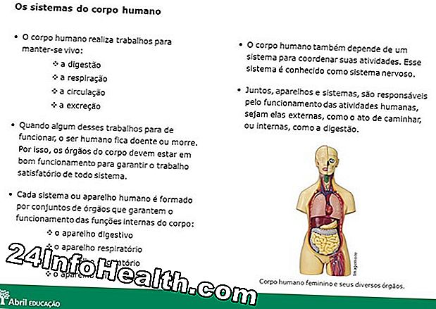 Corpo humano: Quais são os órgãos do sistema respiratório?