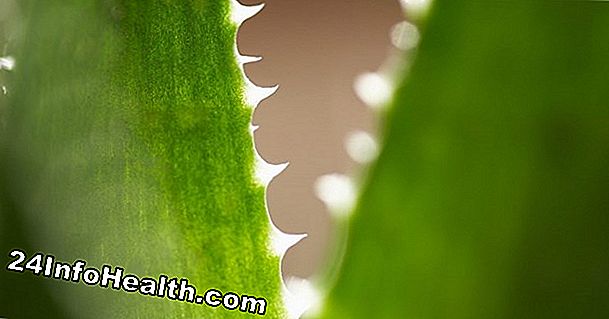 Aloe pode tratar problemas de pele?