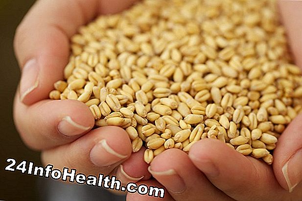 Germe de trigo: alimento natural da perda de peso