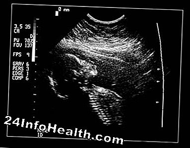 Zwangerschap en ouderschap: Hoe een foetus groeit